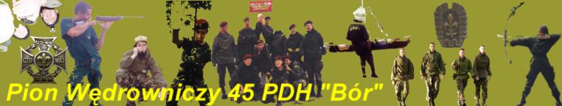 Baner
